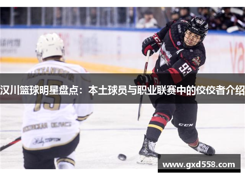 汉川篮球明星盘点：本土球员与职业联赛中的佼佼者介绍
